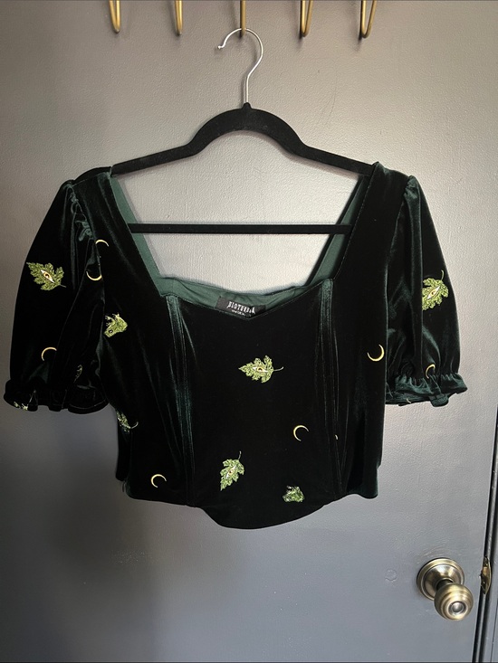 Disturbia Tops - Disturbia NWT Swamp Life Dark Green Velvet Embroidered Puff Sleeve Top